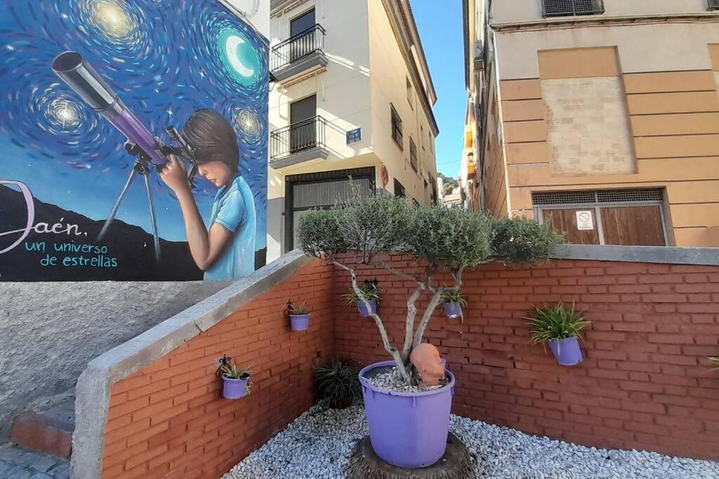 Rinconcito En El Almendral Apartment Jaen Exterior photo
